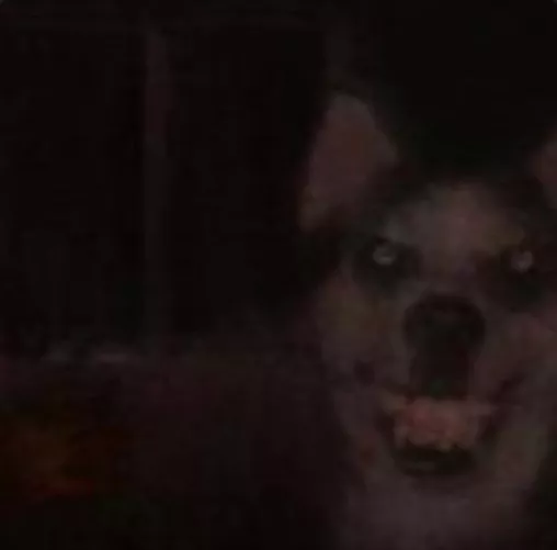 You know what fuck you 