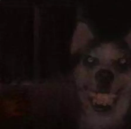 You know what fuck you 