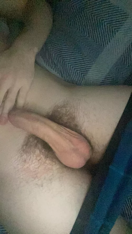 19m virgin plymouth free house