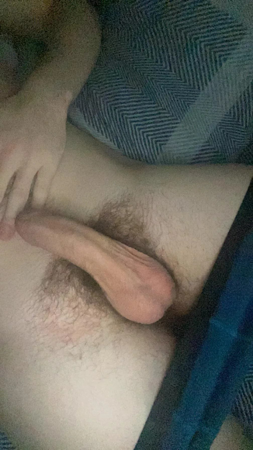 19m virgin plymouth free house