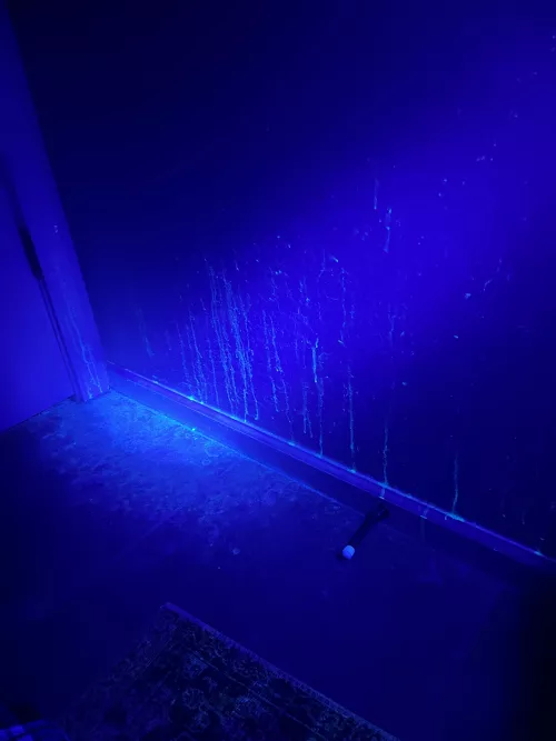 [22] Previous owner was shooting loads 🥵