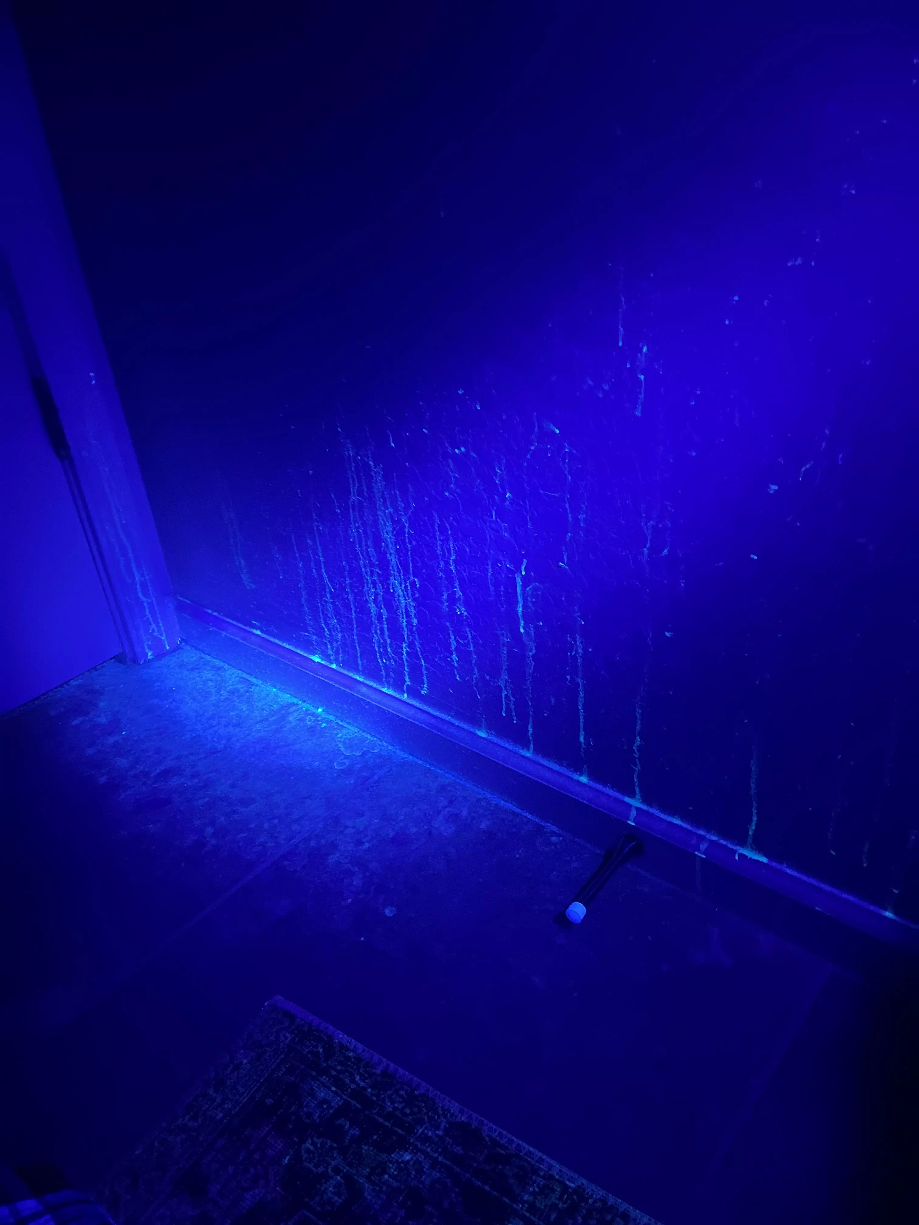 [22] Previous owner was shooting loads 🥵