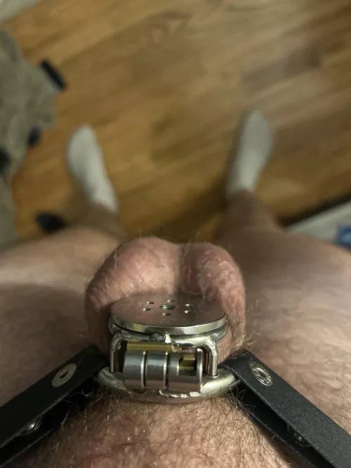 25m locked. Send compares for when I wake up.😉😉some bets welcome