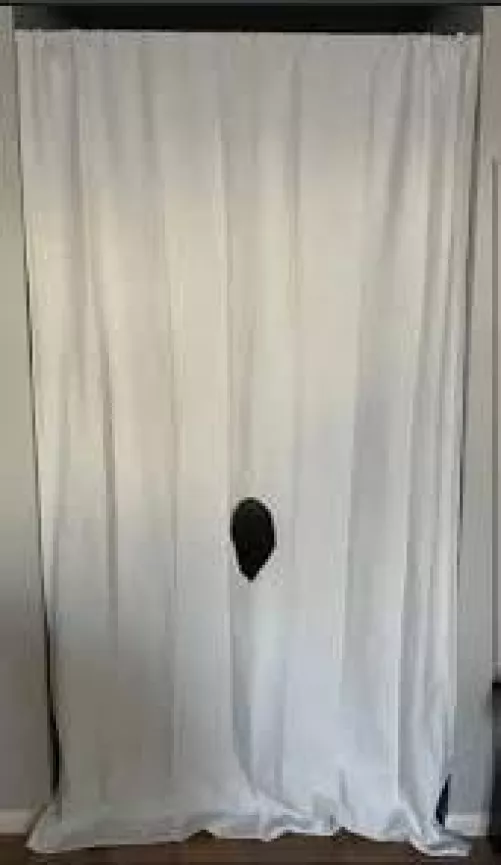 29 sissy [Clermont] Fourcorners area come and get best head ever into bbc or bwc with good body and hygiene 