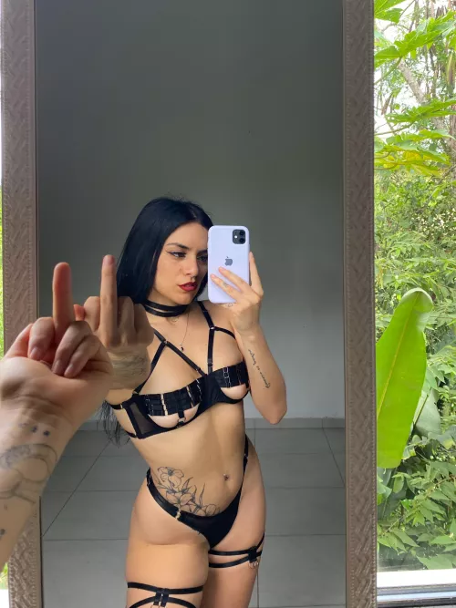 Before your new owner 