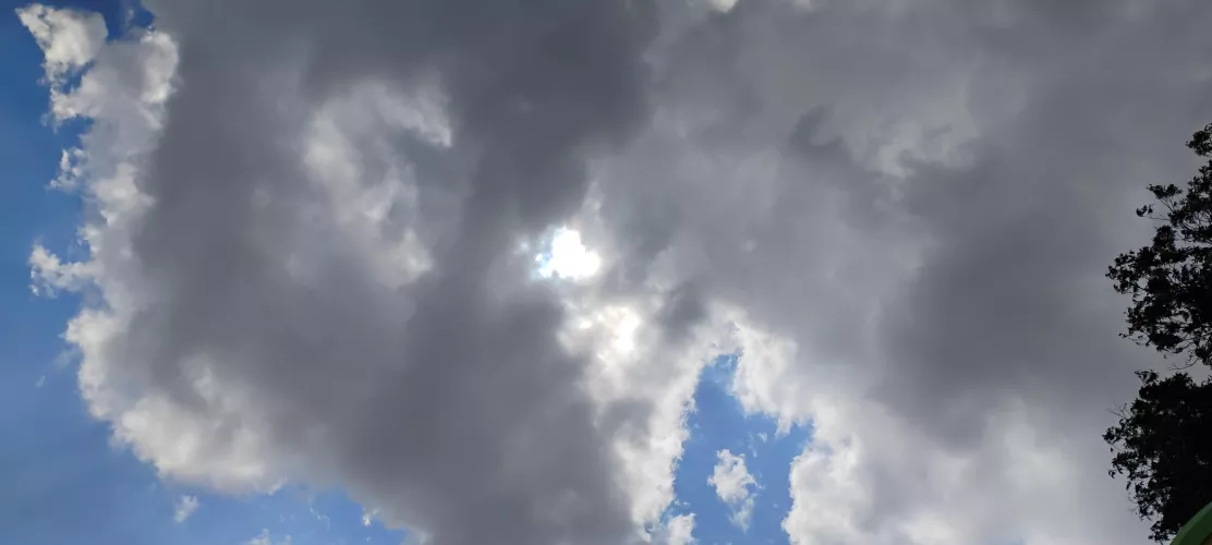 Bwc for younger curious first timer