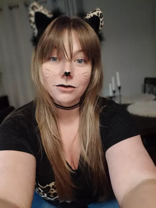 Cat & Mouse