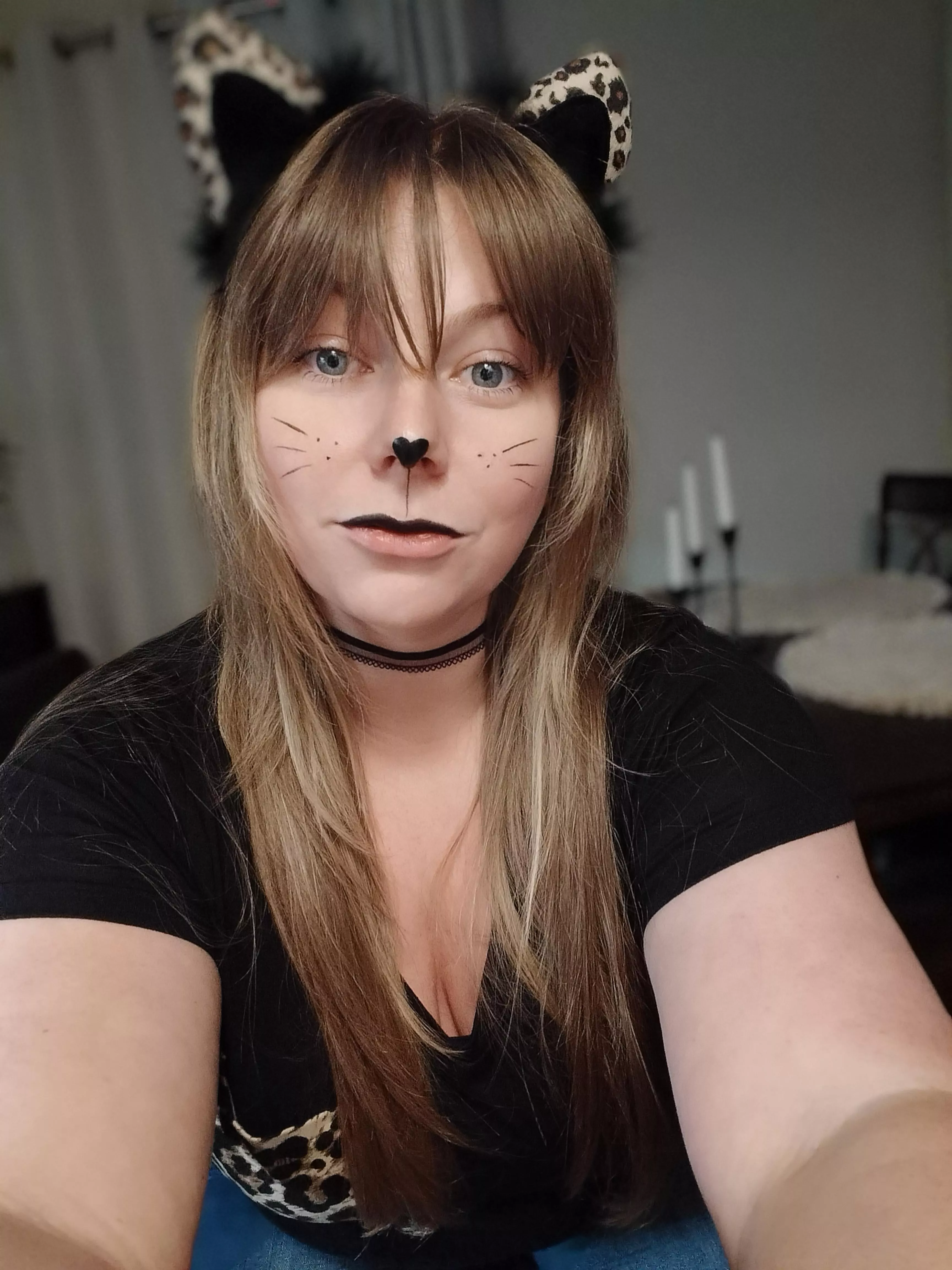 Cat & Mouse Cat & Mouse