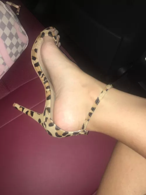 Classic Fuck Me Leopard Print Heels 👠 