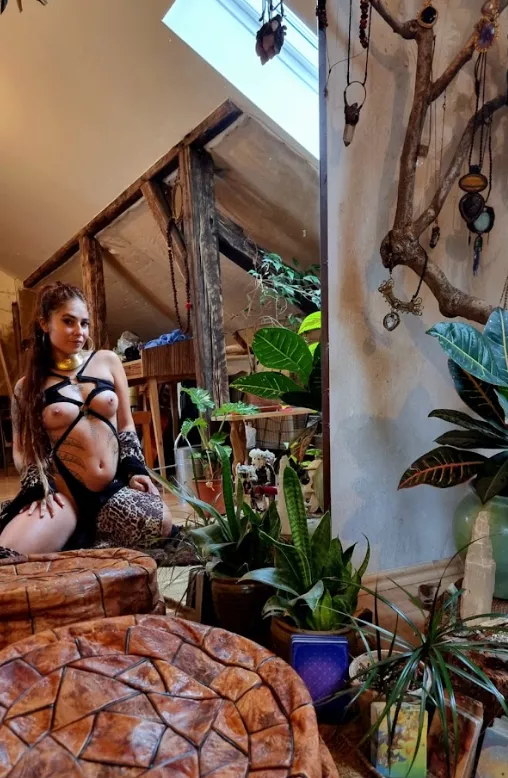 Did you enjoy looking at my little breasts? [F]