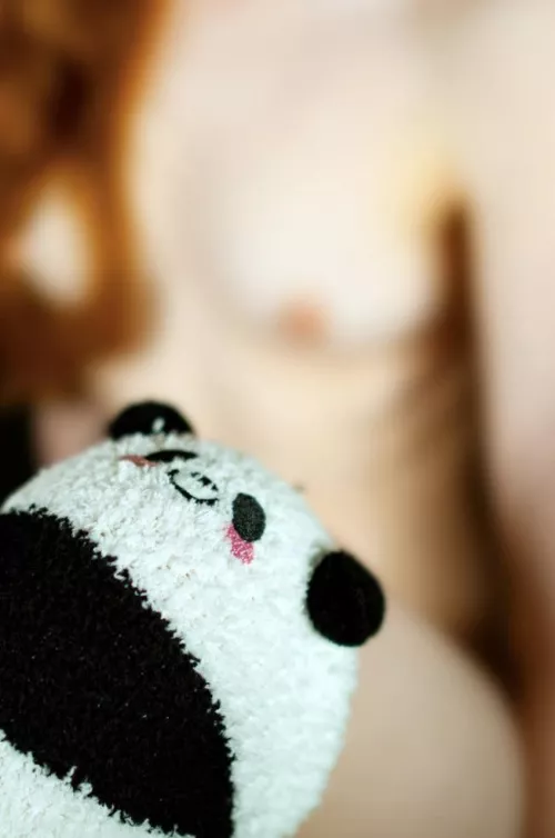 Endanger.red panda @TheShyGingerOF