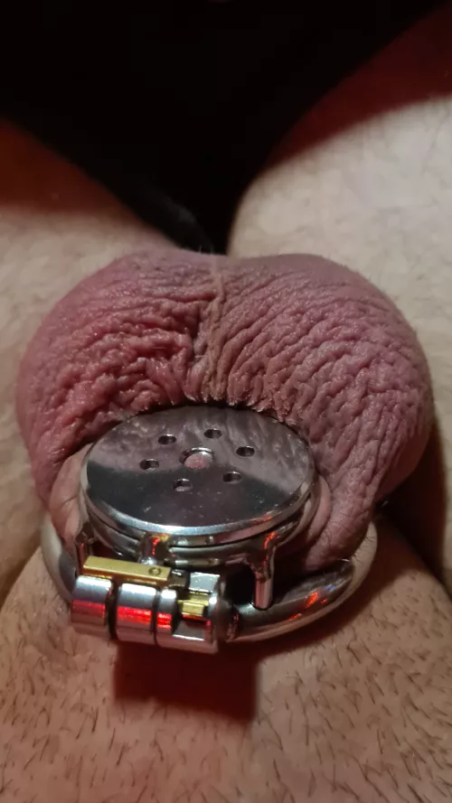 Final day of locktober 2024🍆🔒