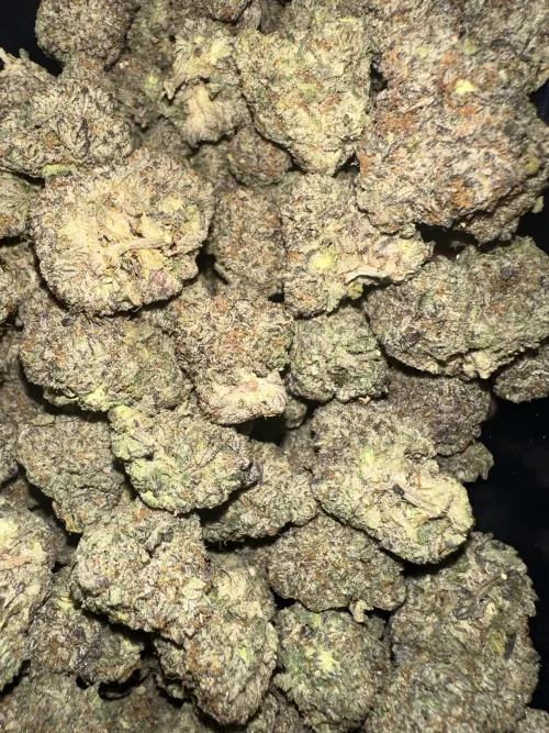 Girl Scout Cookies 🔥