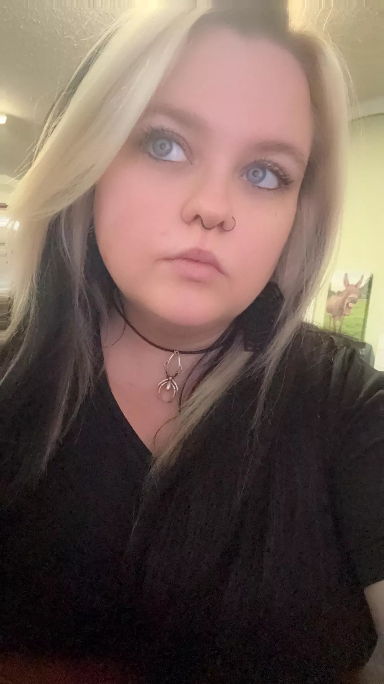 It’s been a while…miss me?