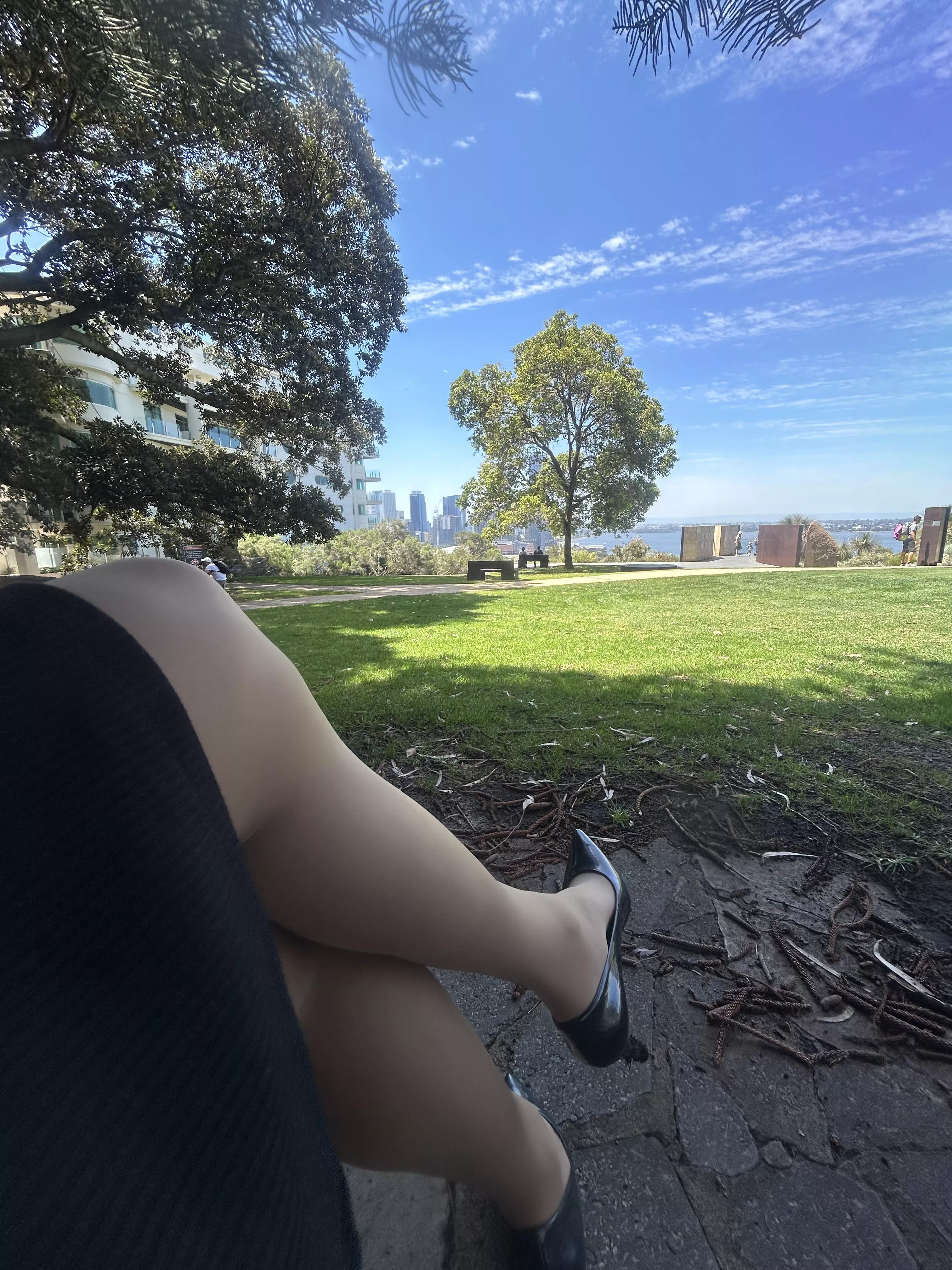 Kings park tonight (cd) 