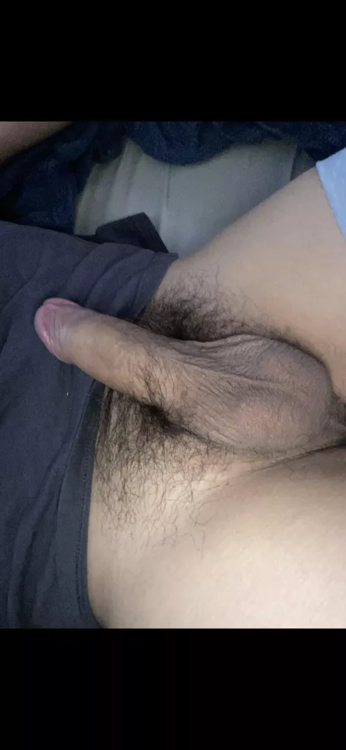 Looking for sloppy[90045]head 