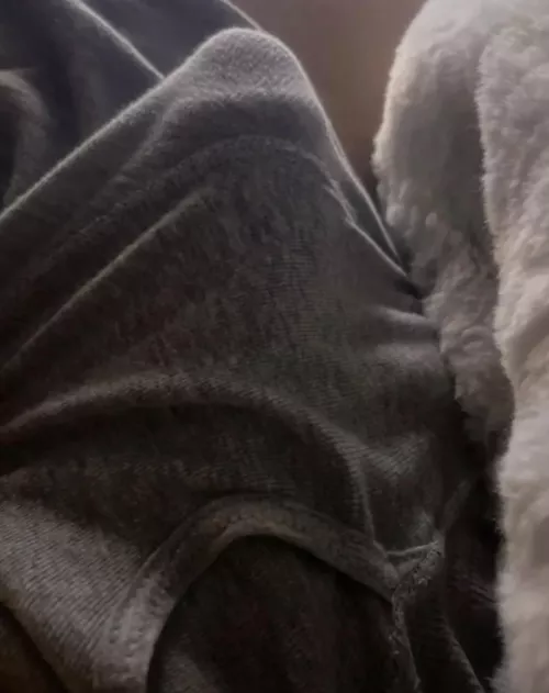 M4A looking and hosting 