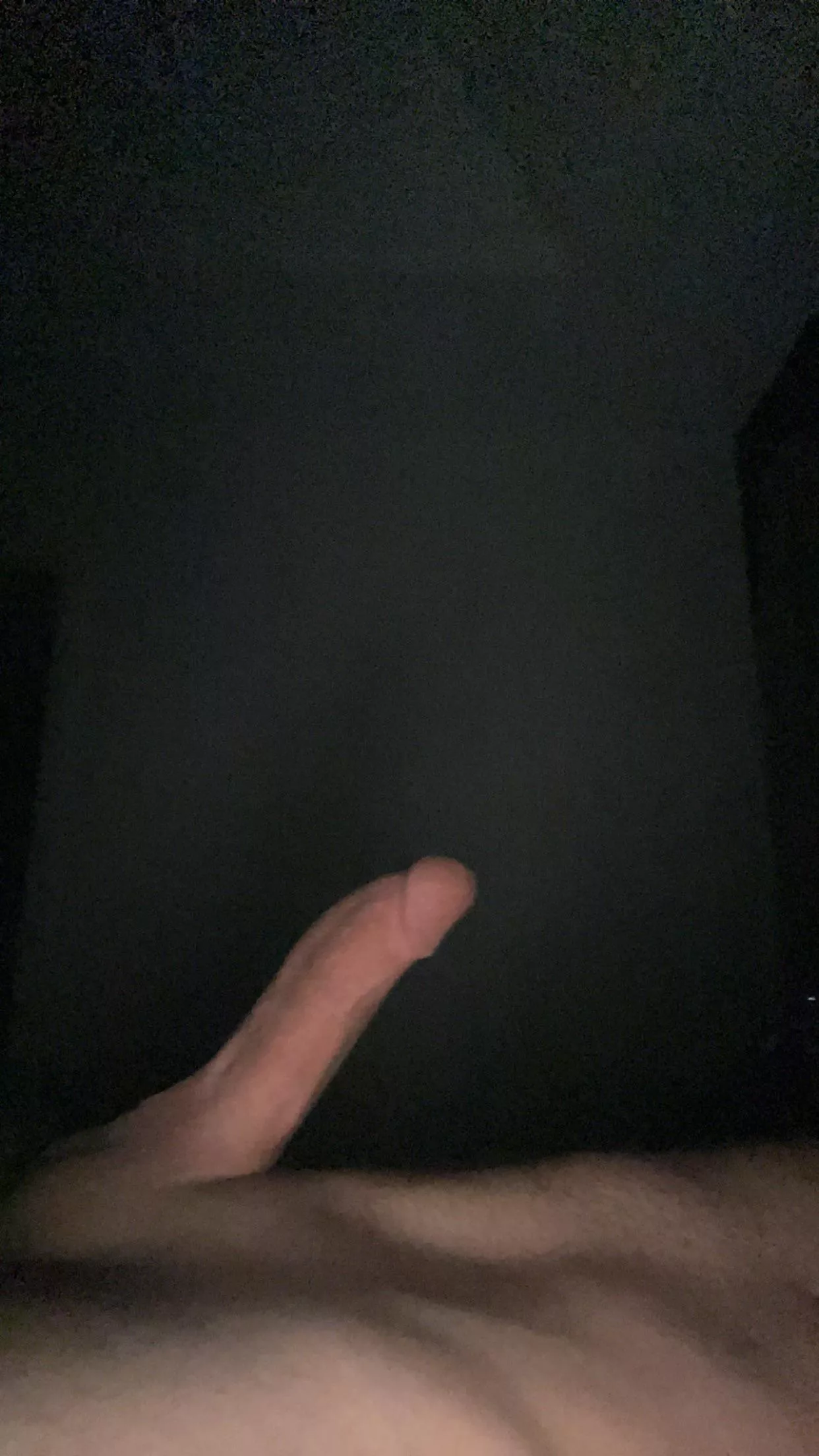 M4MF 34 fit, clean with recent results, can host in Cape Coral