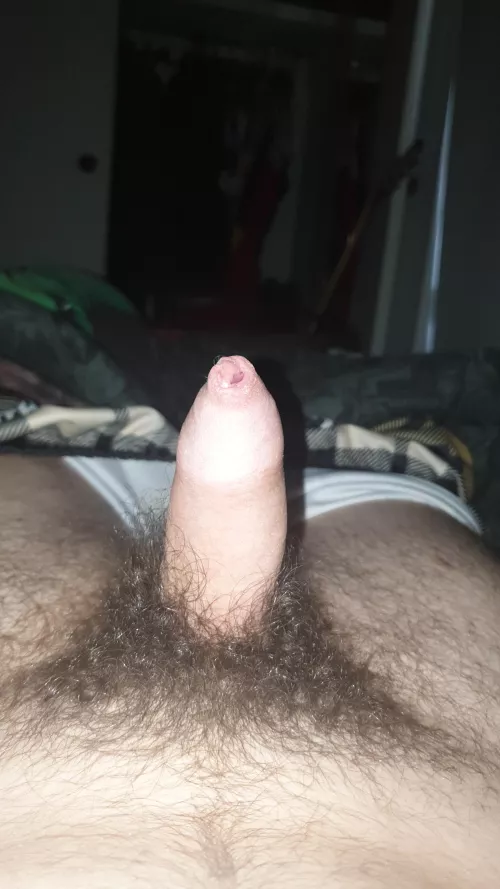 Morning wood