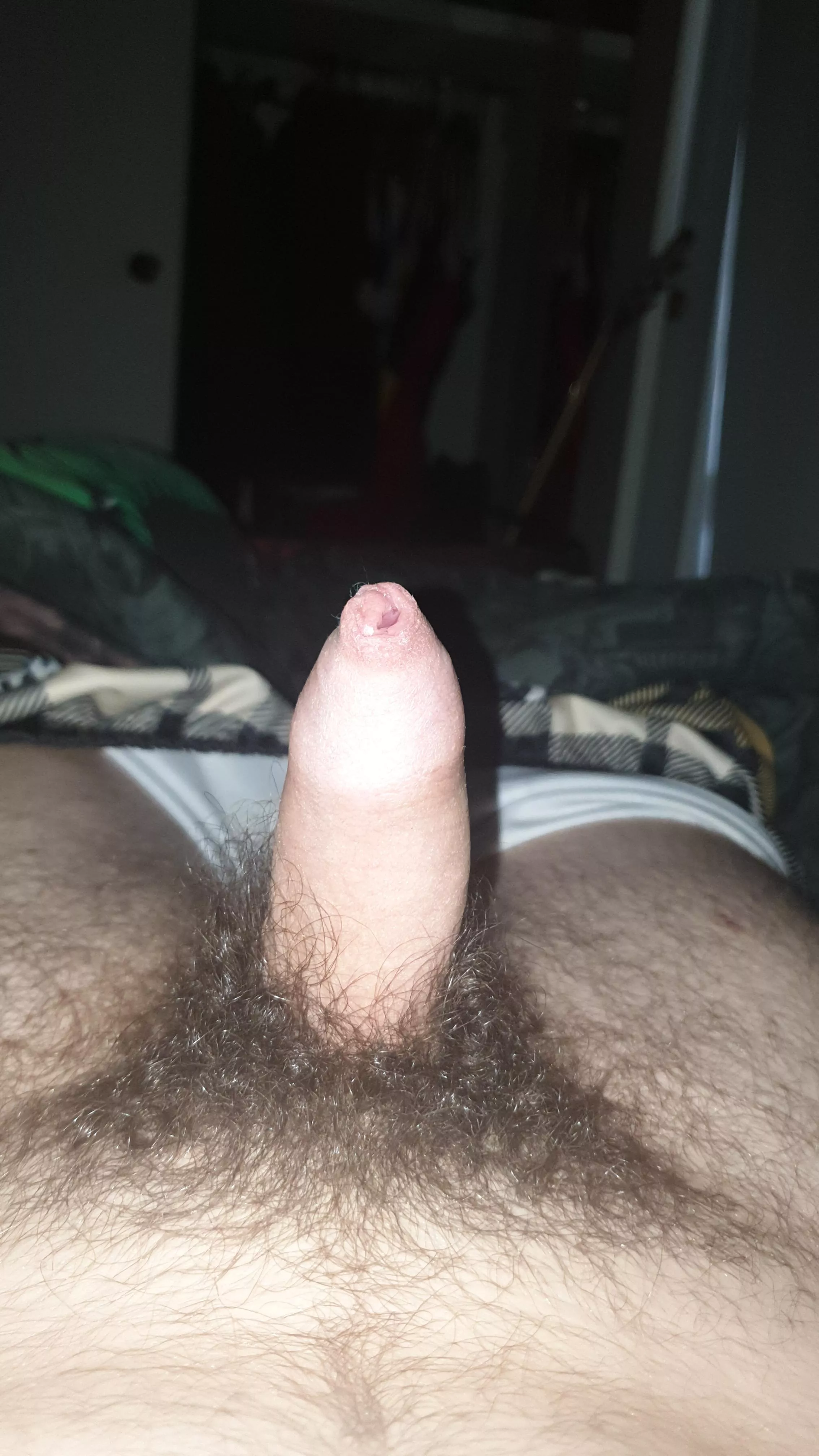Morning wood