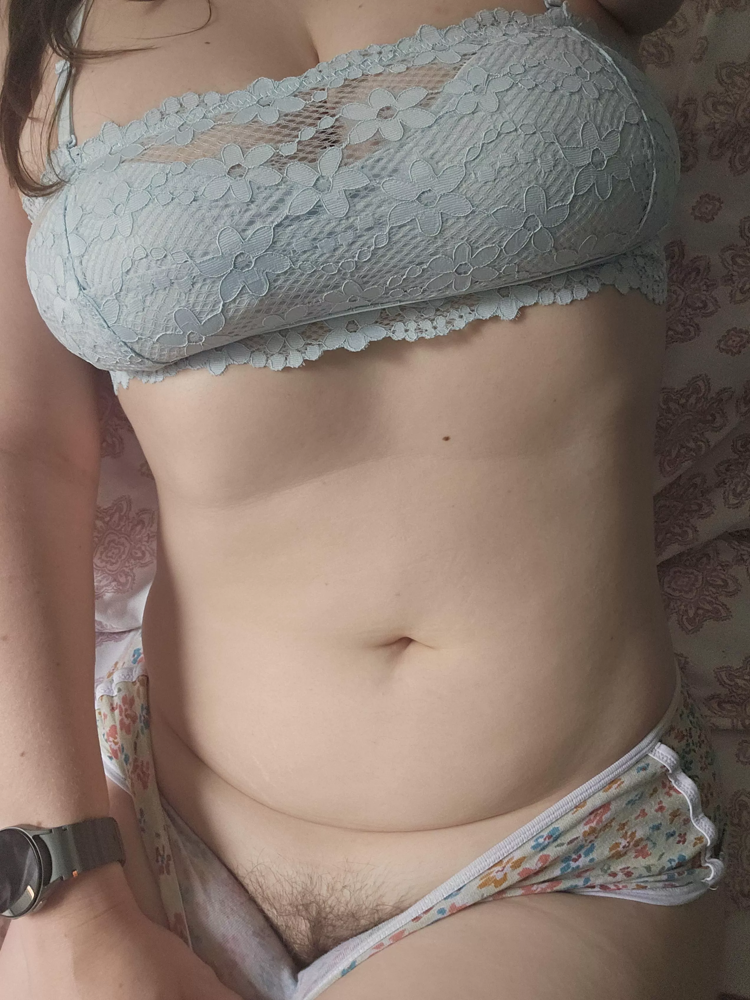 My bush could use some company