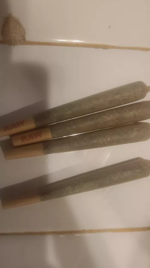 need a girl in semo to smoke with