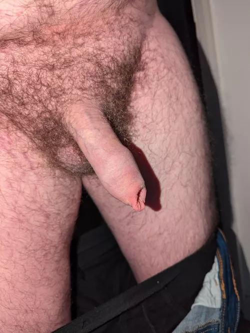 Need a shave 
