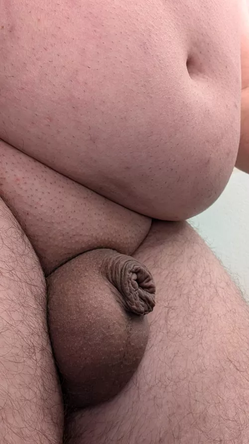 ny lovely ultra little dick