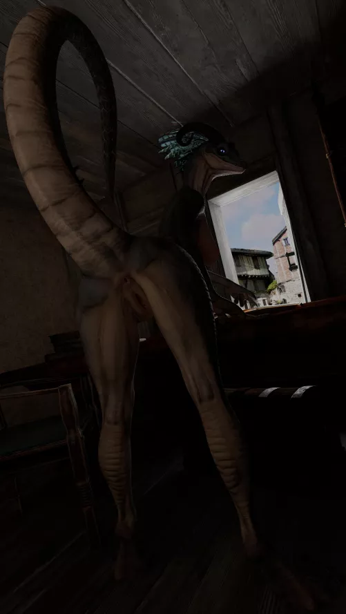 Pages and Gazes [F] (AdM)