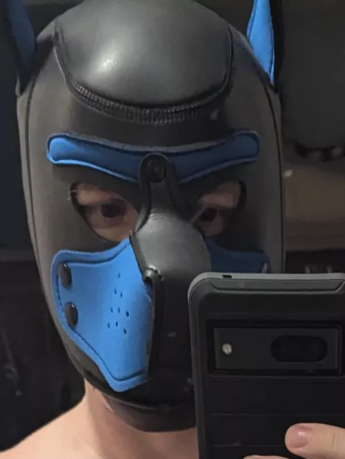 Question for decent hoods