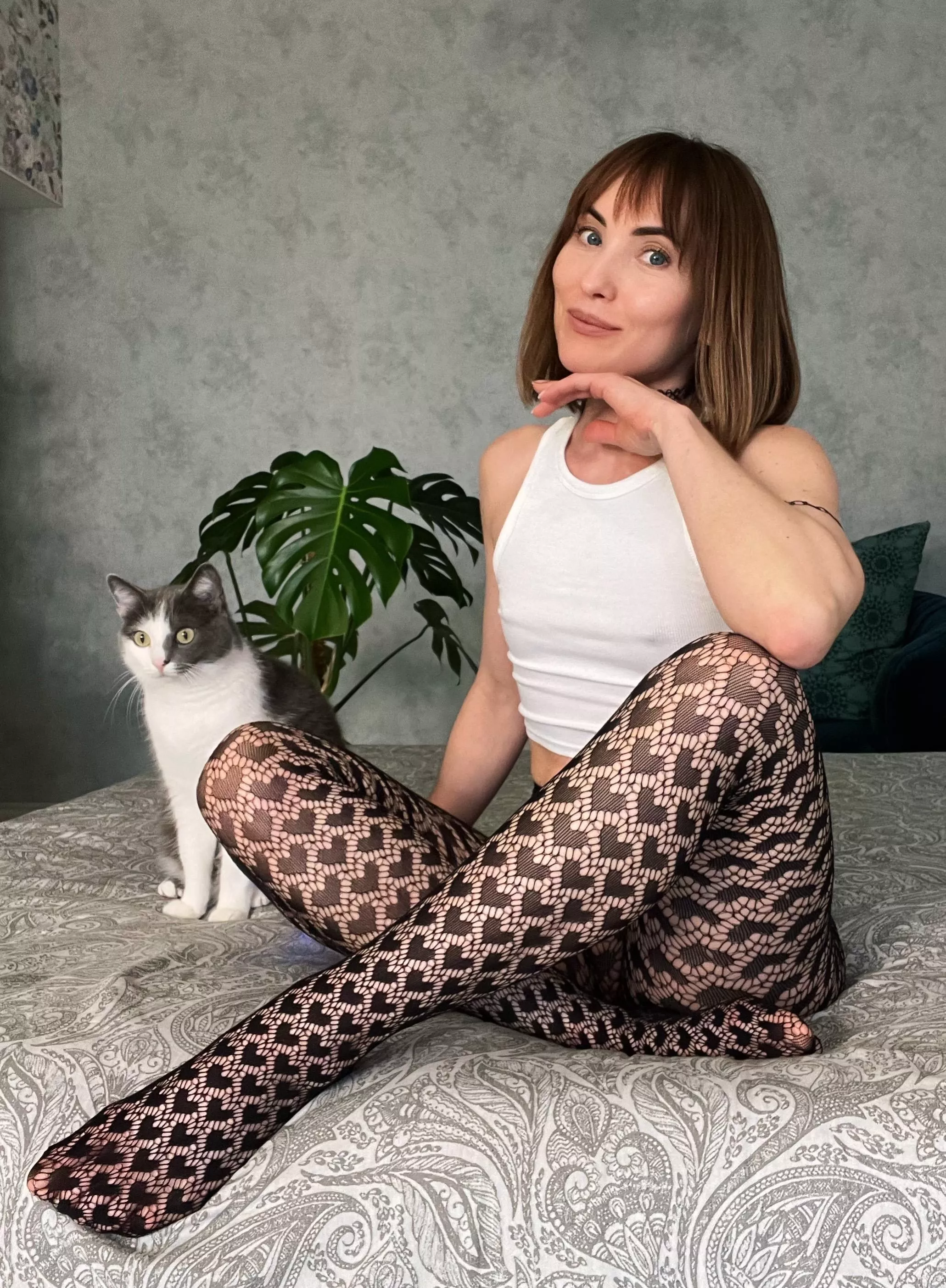 relaxing evening at home with my cat.