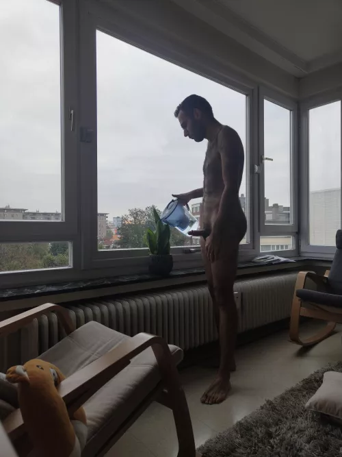 She promised me with a surprise if I water her favourite plant and here I am doing it