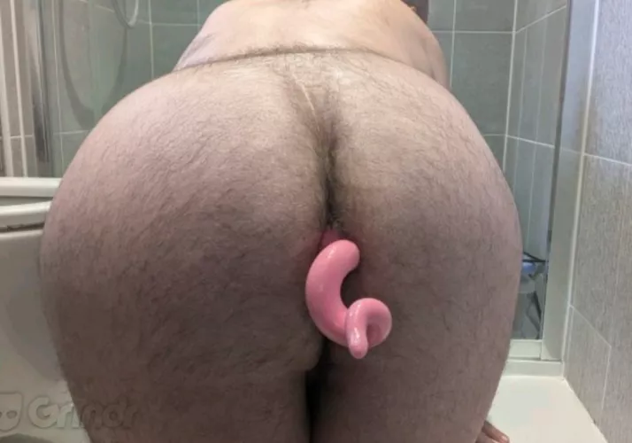 Sissy sow looking to be feminised 