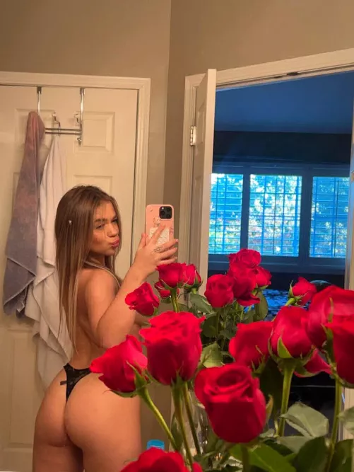 so, would you rather have me in your view all day… or all night?