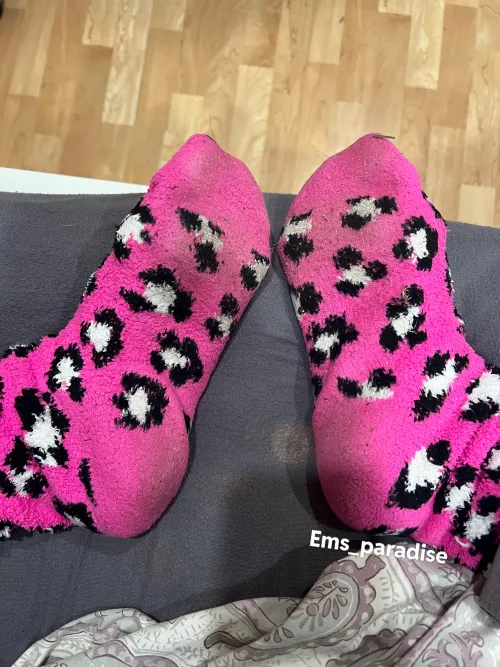 These belong in your face after a sweaty workout 😜💗😈