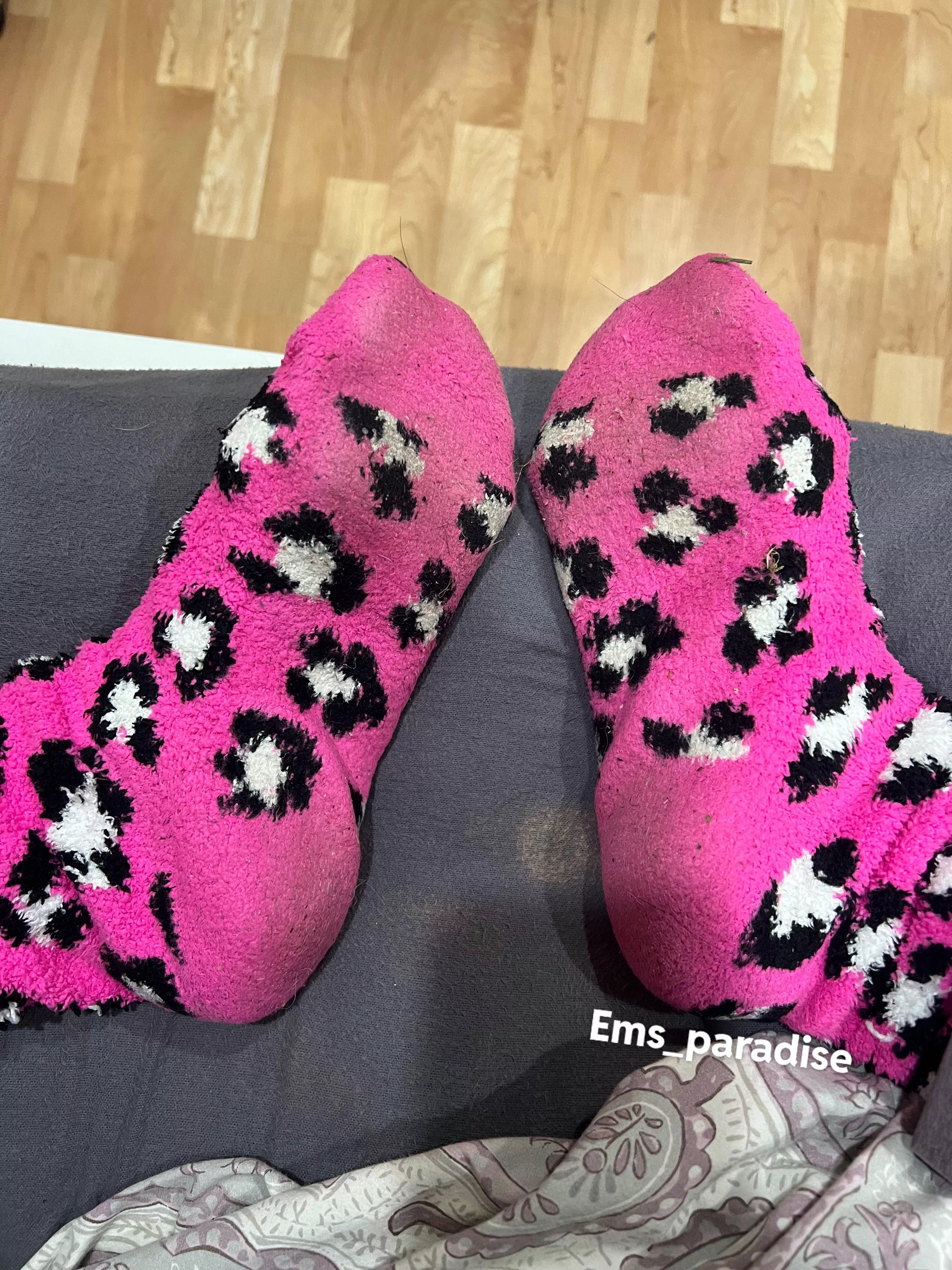 These belong in your face after a sweaty workout 😜💗😈