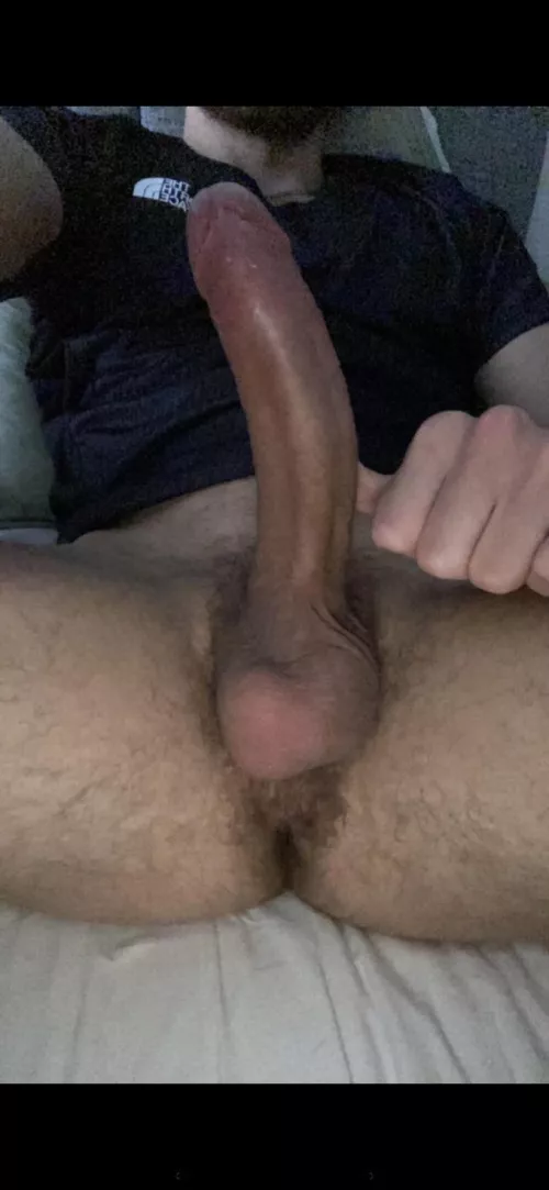 Type of cock that makes you cum hands free 