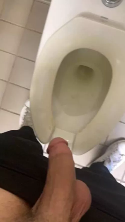 Visiting Bay Area 15-18 of November