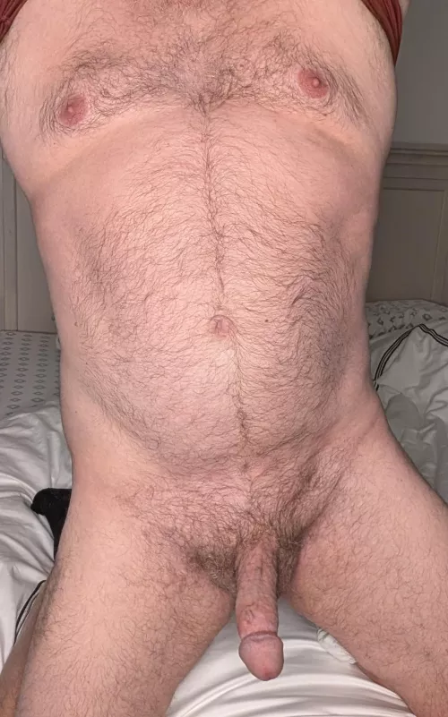 Would you suck Papa Bear?
