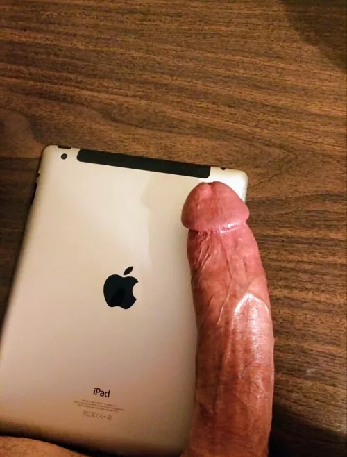 28m4f First Week of Dec.