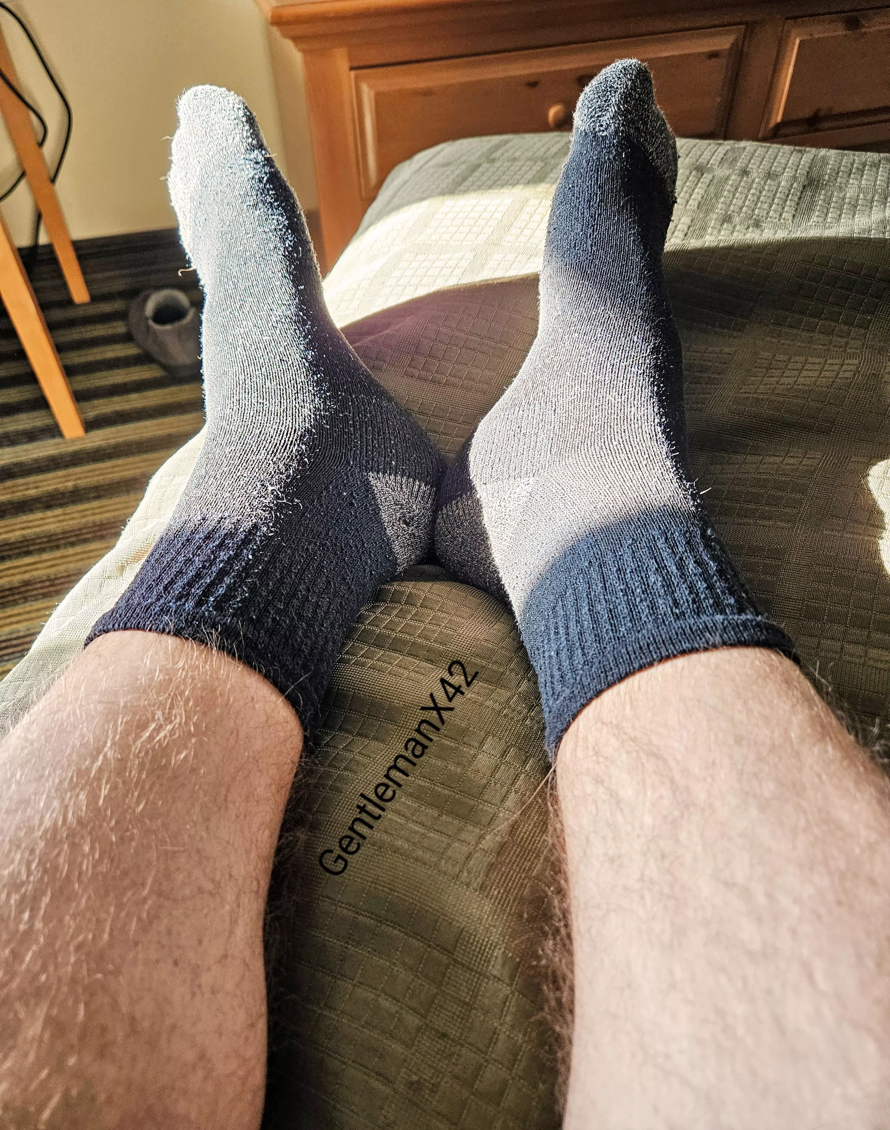 36 soaking up some afternoon sun. 