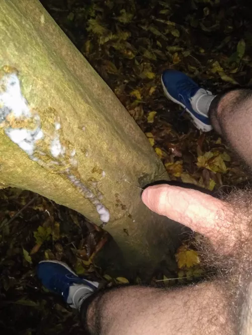 Belgium 🇧🇪 [35]: Marking My Territory 