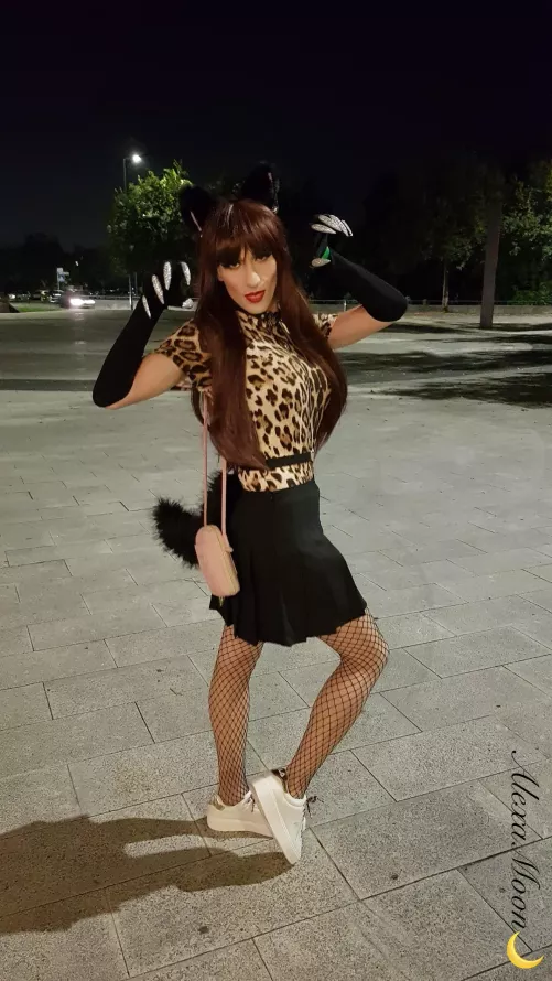 Last night Halloween party outfit 🎃👻🐆