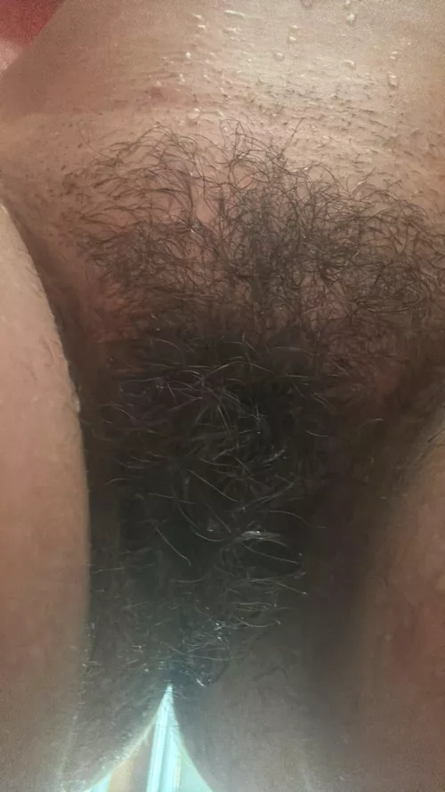 My hairypie up close & personal 😊