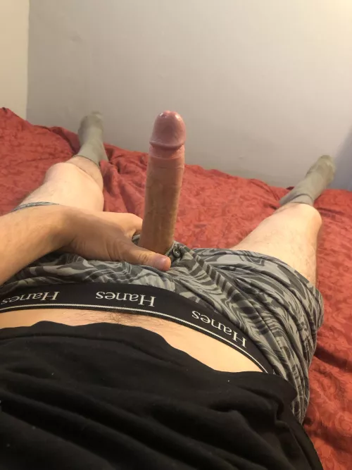 my hanes cant hold him 