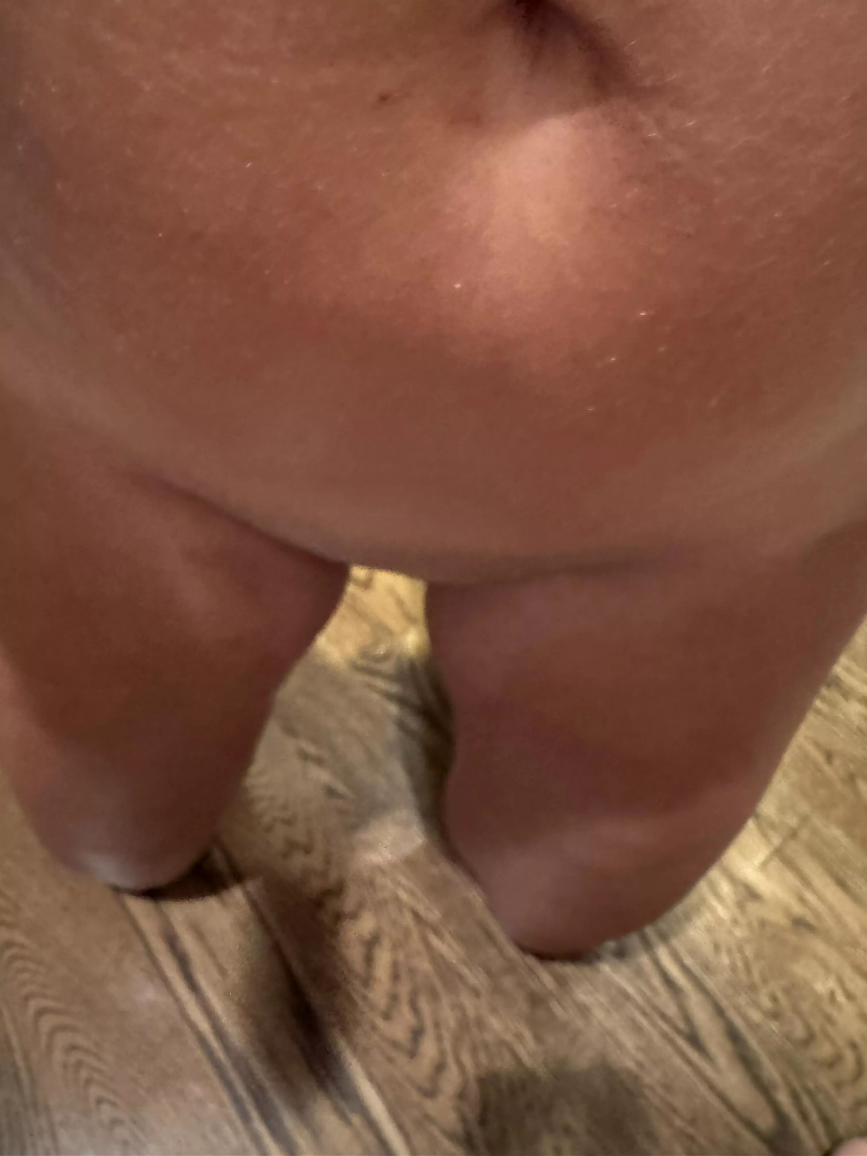 Need a Bull for Wife.   BBC front of line.  DM. 