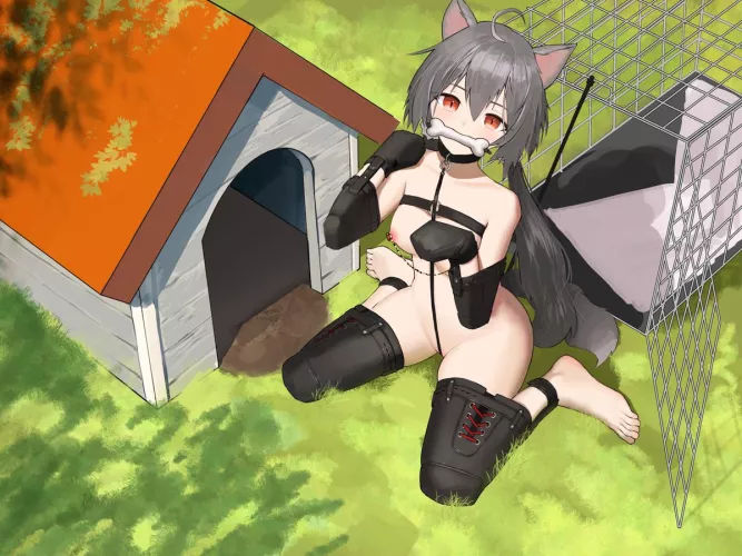 The girl of my dreams would look up at me like this