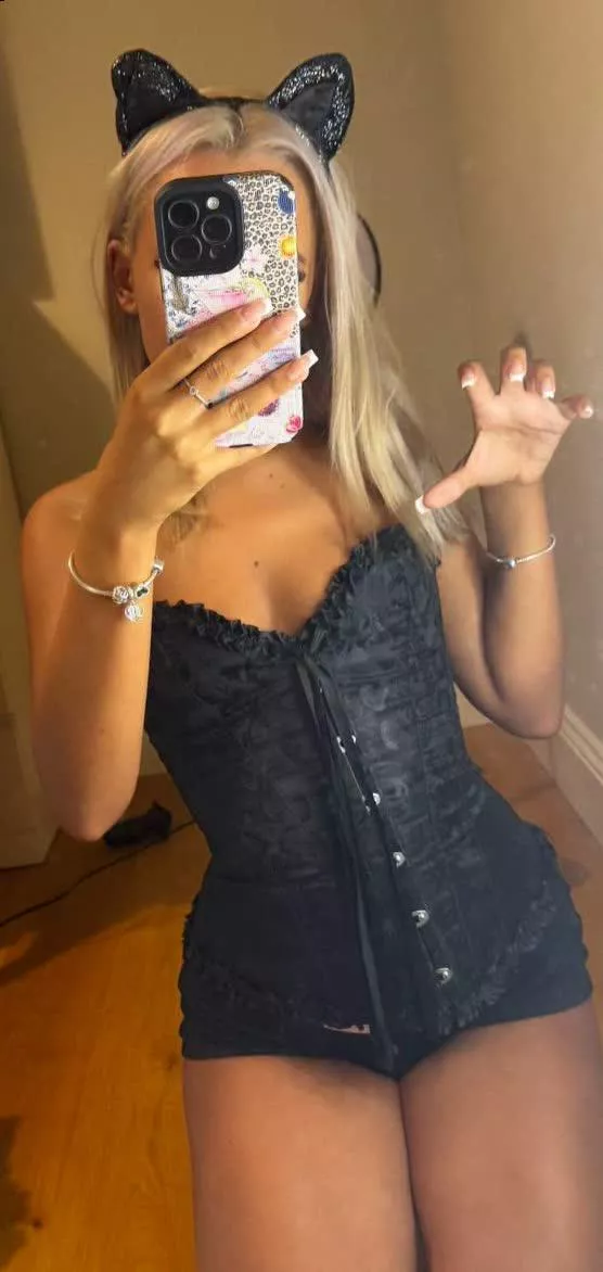 would you adopt this pussy 🥺🐱  (f)