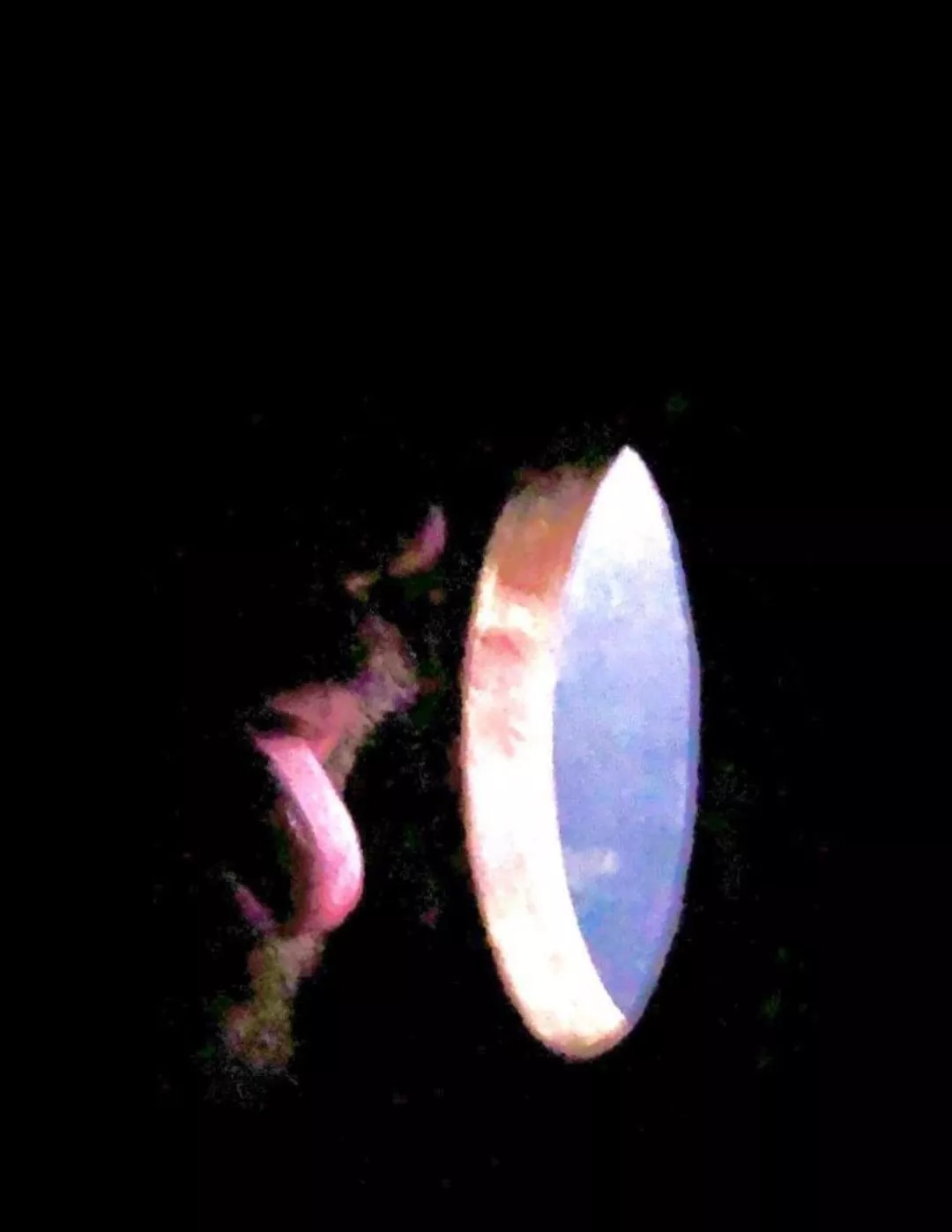 36yo Seattle Washington 