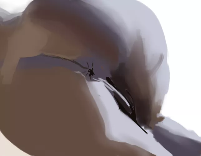 Another unfinished drawing. But still nice butt ;)